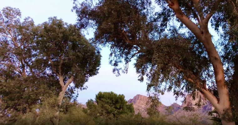 Tucson Sunset – Oro Valley Bike Path