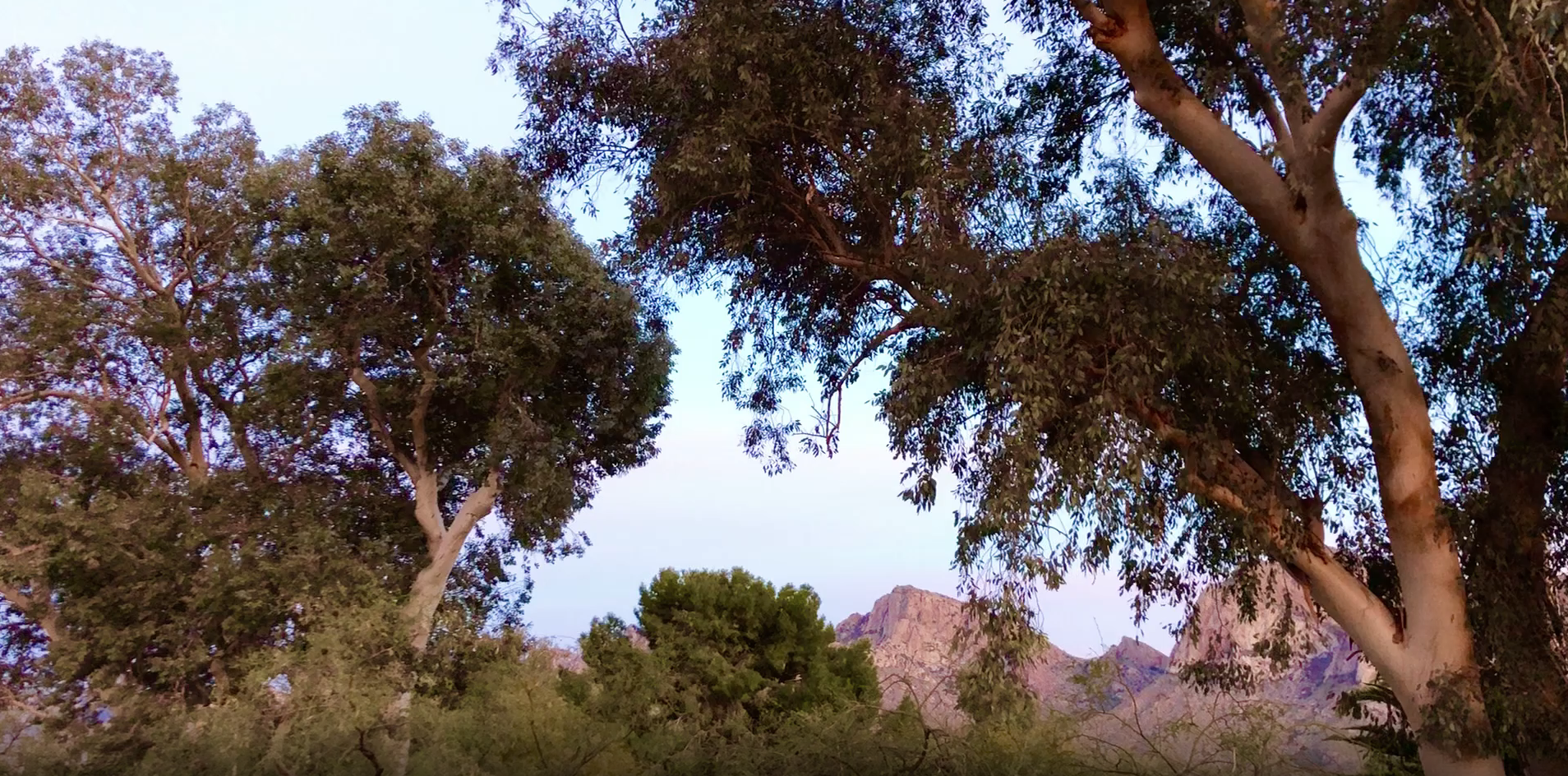 Tucson Sunset – Oro Valley Bike Path